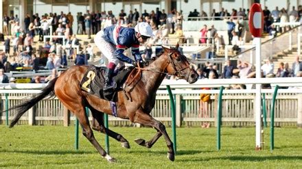 16:30 Come And Discover Newmarket Handicap .